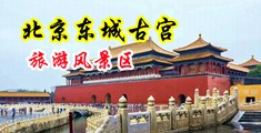 裸体美女做爱中国北京-东城古宫旅游风景区